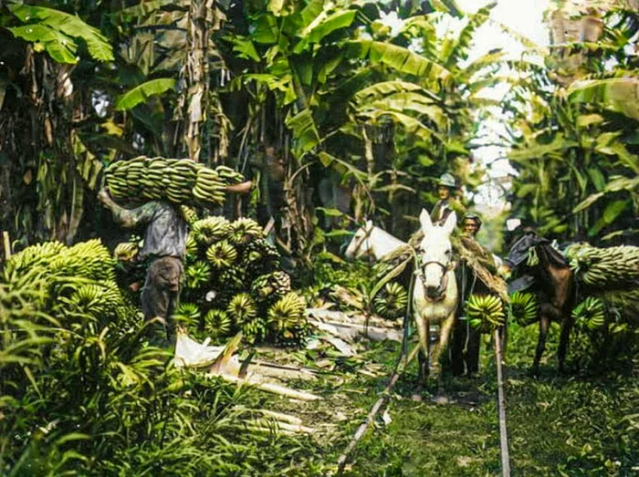 Необычные и интересные снимки из разных стран мира, сделанные в XX веке. 20 раскрашенных фотографий. Часть VI 20 век, Историческое фото, Старое фото, Фотография, Мир, Страны, Колоризация, Длиннопост