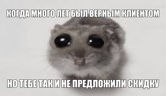   :   , , , ,  