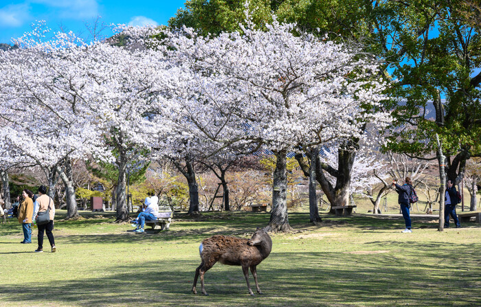            -       ,       ,         :-)