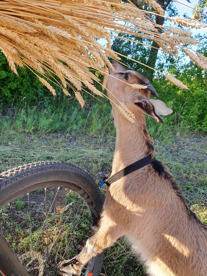 �� ������ ���� ��������, �� ��������� - �������