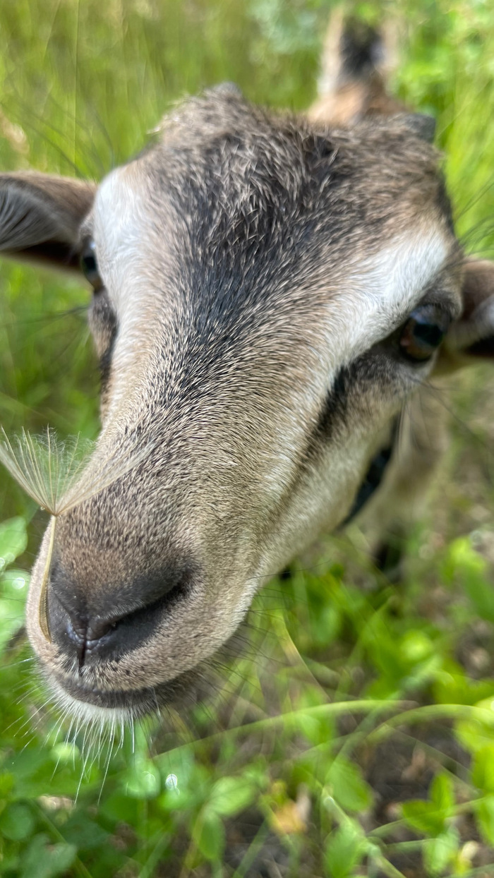 ���������� ���� � �������� - � ��� ���������� ������ ������