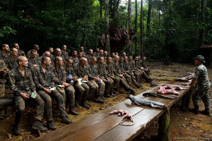 ����� ������� �����