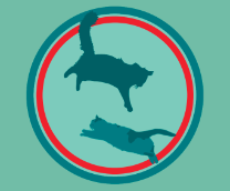 ��� �������