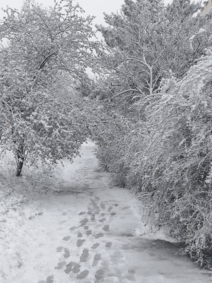 Севастополь, вечер, сегодня