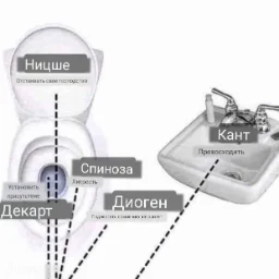 user6284306