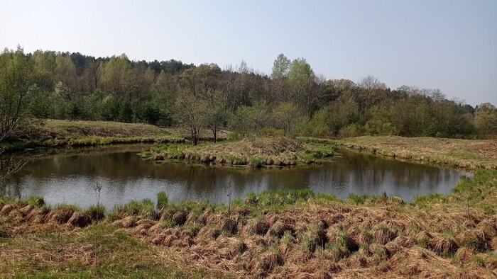 ������������� ����� ������ ���� ������. ����: ���� ��������