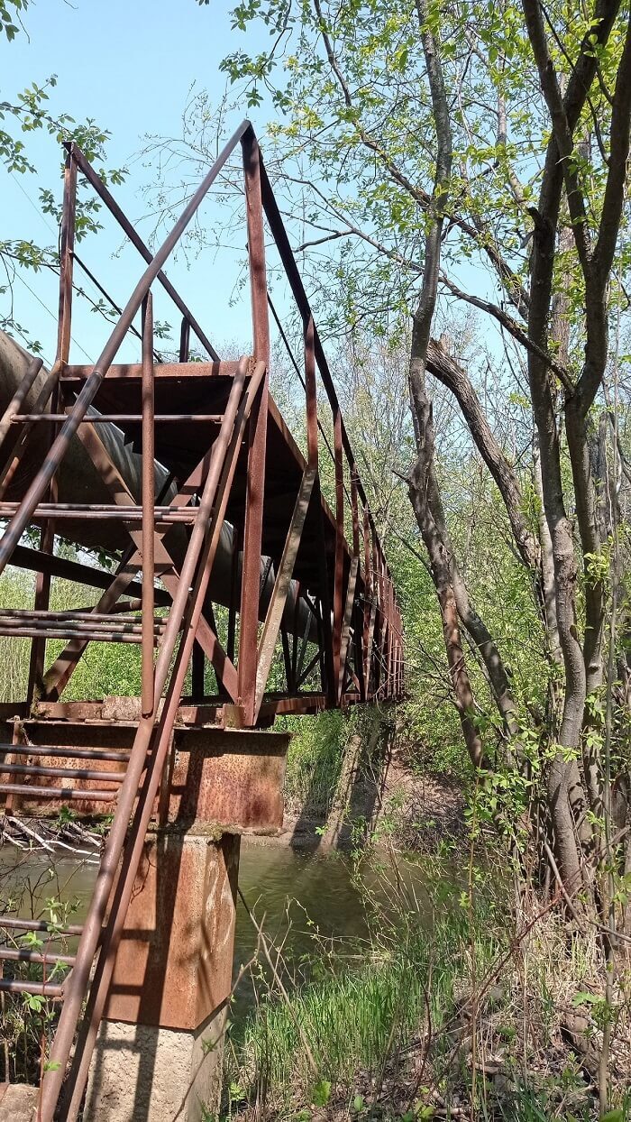 ������������� ����� ������ ���� ������. ����: ���� ��������