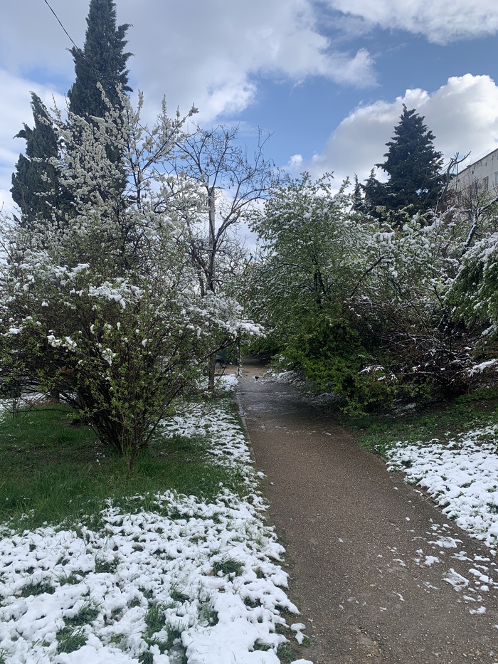 8 ������ �����������