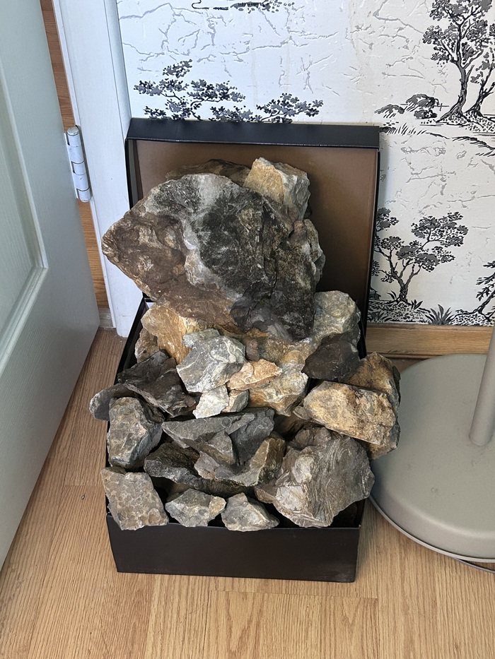 Экземпляры для сухого ручья на даче.