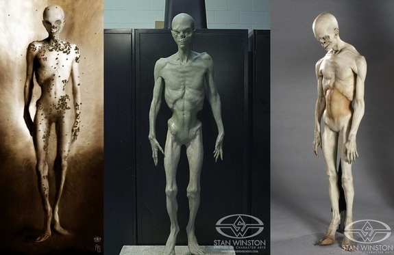      .   .,    ( 170 .).       .