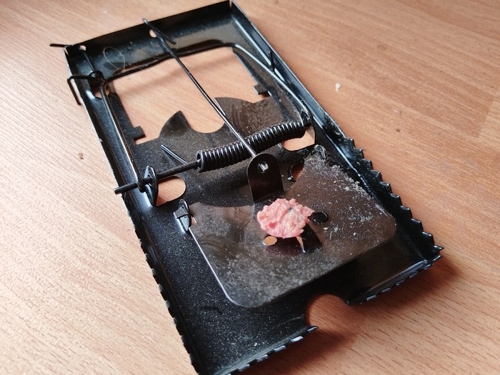 ����� ������ ����.( ���� �������)