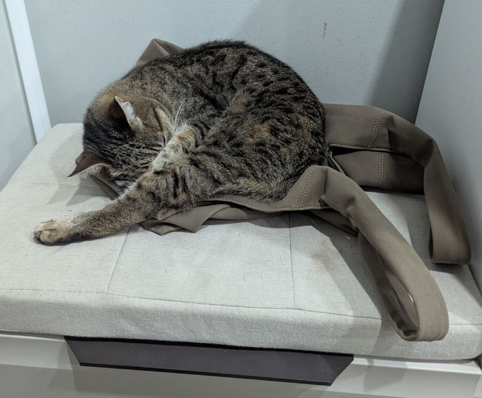    , , , 