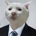 KotVkostume