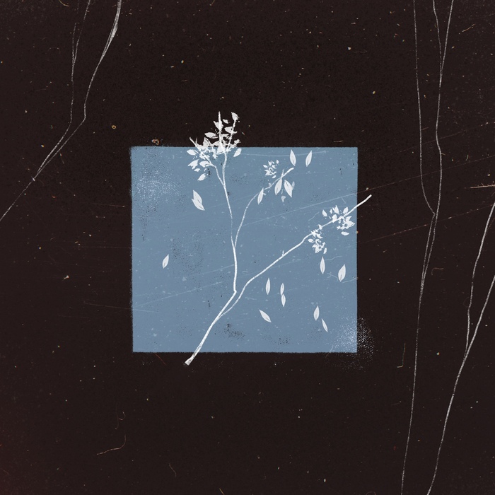 Bird Bone -  (2024) (Lossless) , Metal, , Telegram (), Emocore, , Screamo, -