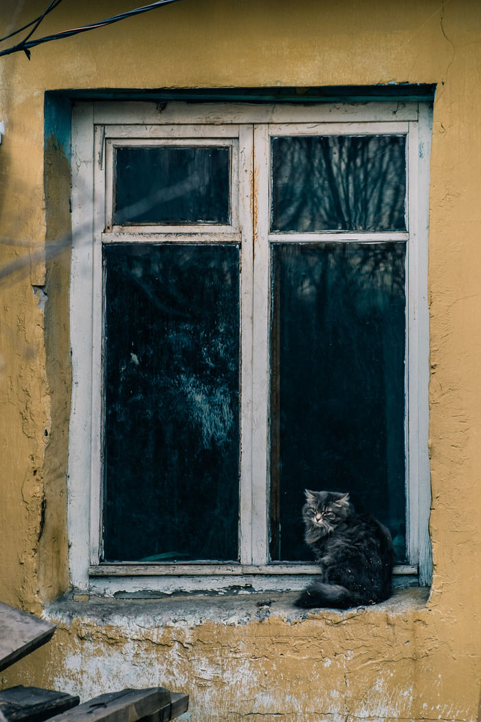    , , , , , 