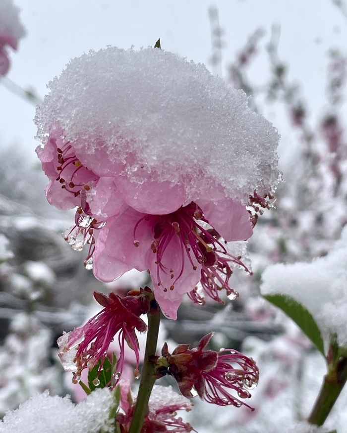 Фото А. Хмель.