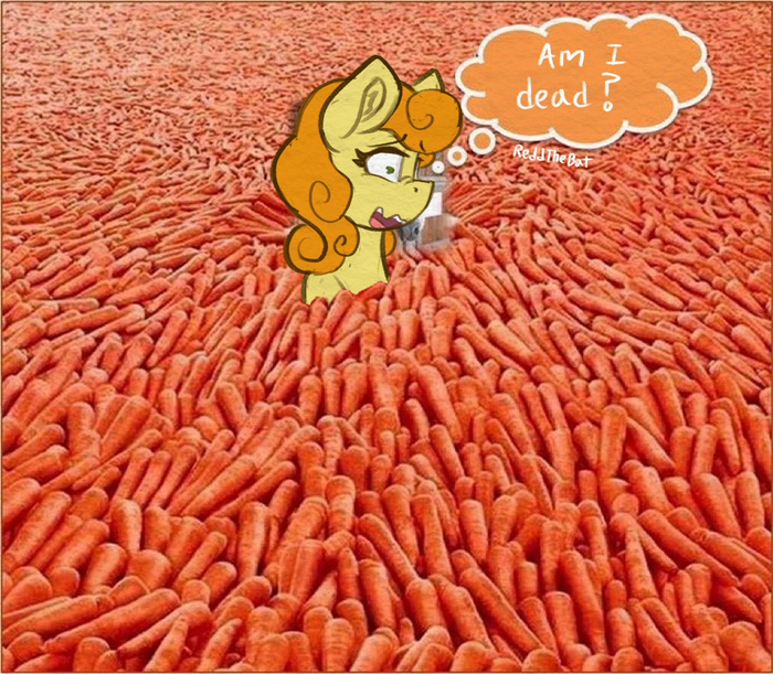  My Little Pony, Carrot Top, Reddthebat