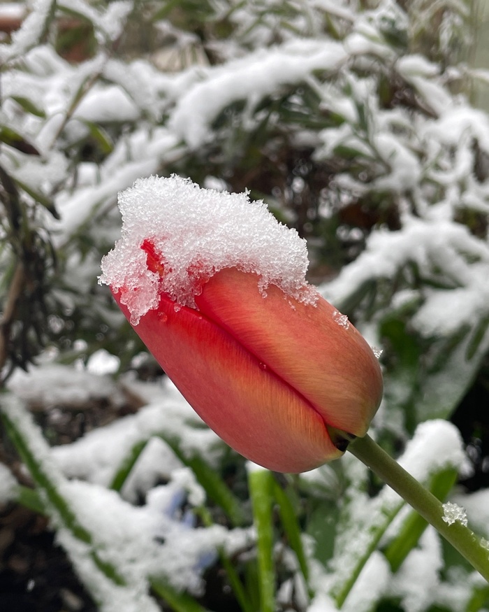Фото А. Хмель.