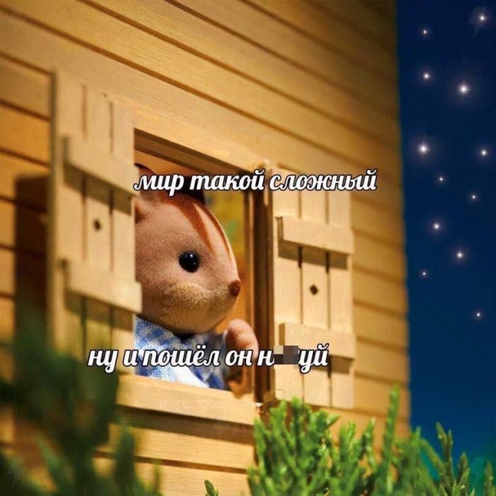   ) , ,   ,  ,  , 