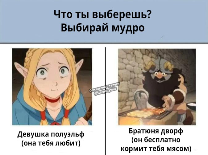 ... , ,  ,   , , Dungeon Meshi, Marcille Donato, Senshi (Dungeon Meshi), , , , Telegram (),  