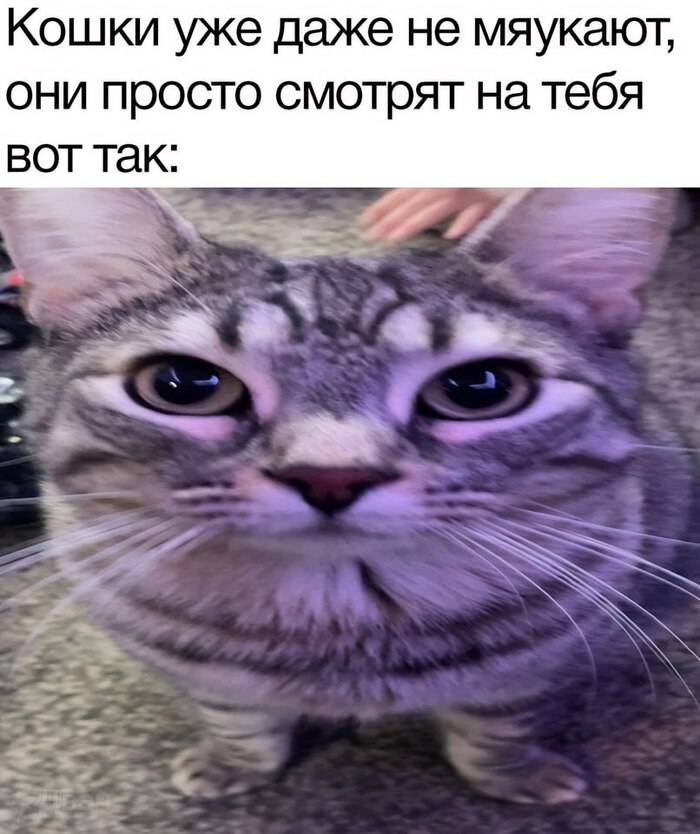  , ,   