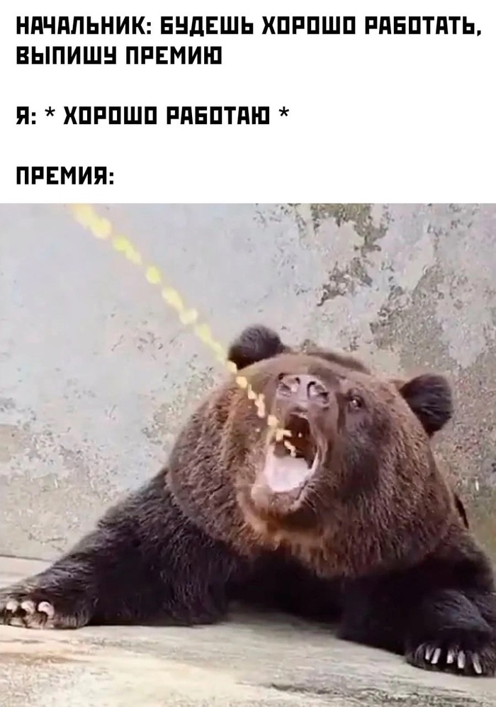       , , ,   , 