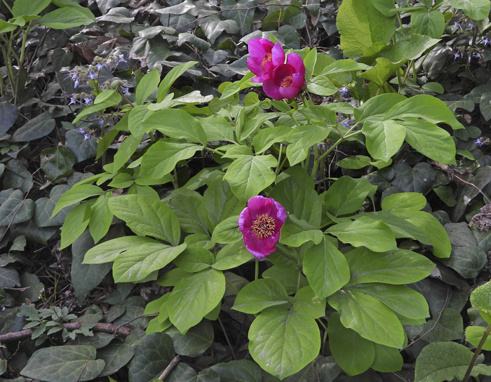 Фото Л. Головневой.