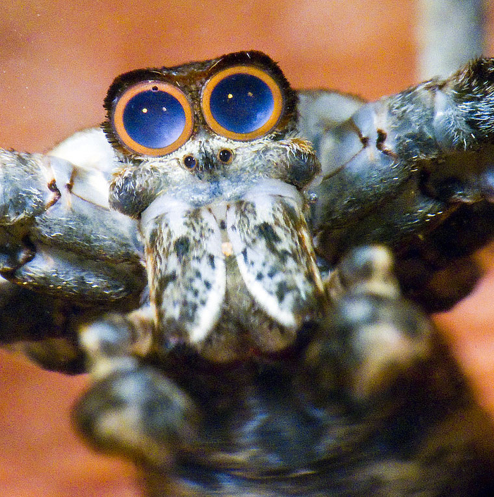   ,  :     8 ,          .