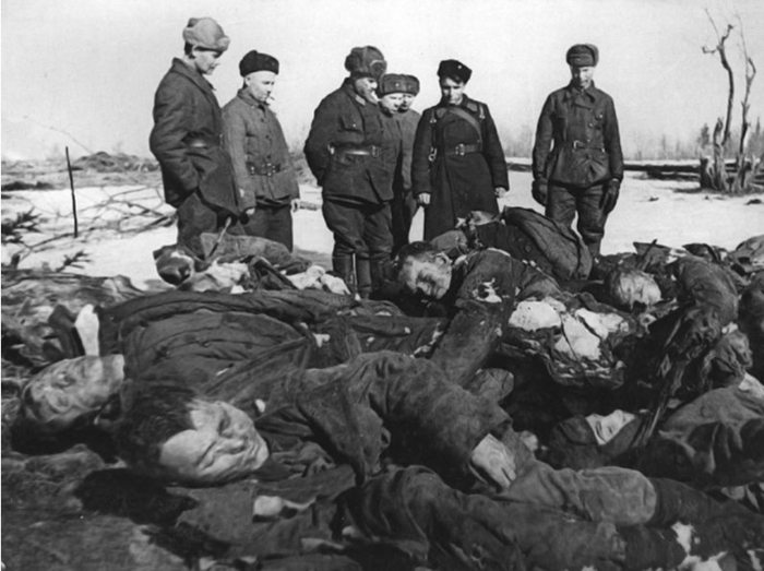 Трупы замученных гитлеровцами пленных красноармейцев в деревне Гороховец Киришского района (Ленинград)