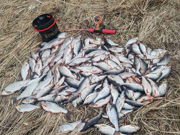 Небольшой улов с лодки на зимнюю удочку