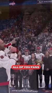 Предпросмотр