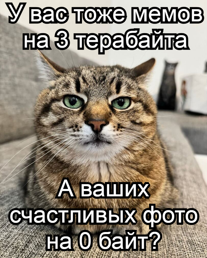    , , 