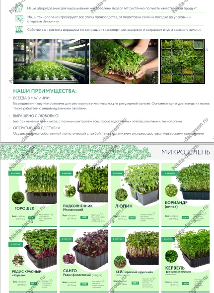 Where to look for customers to sell greens, salad microgreens, herbs and edible flowers. Who to sell to, what is the cost price and markup - Hydroponics, Telegram (link), Longpost, Salad, Greenery, Plant growing, Vertical Truss, Spices, Microgreens, Production