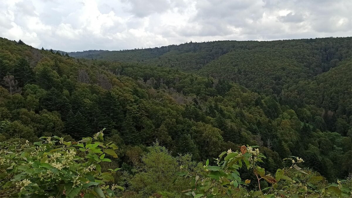 Протяженность Ловецкого перевала 13 км, высшая точка – гора Старицкого (439 м). Зимой здесь нередко сходят лавины.