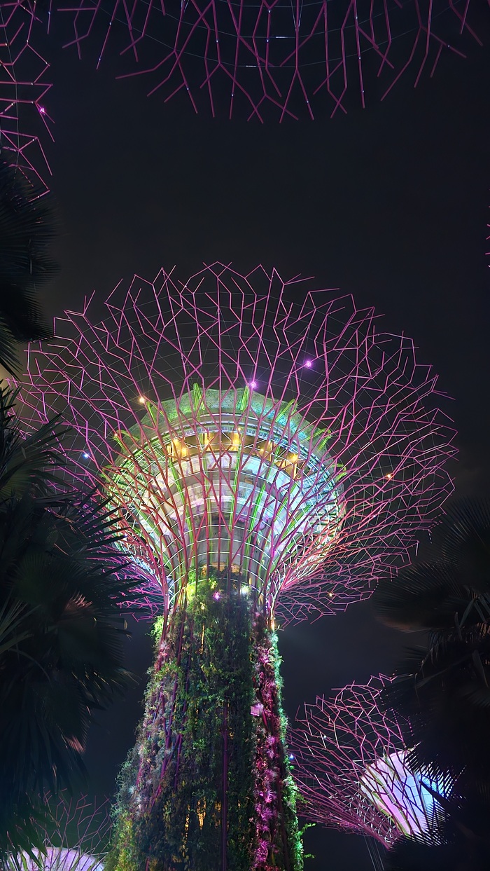 �������� �������� ���, ��� � �������� � ����� - ���������.