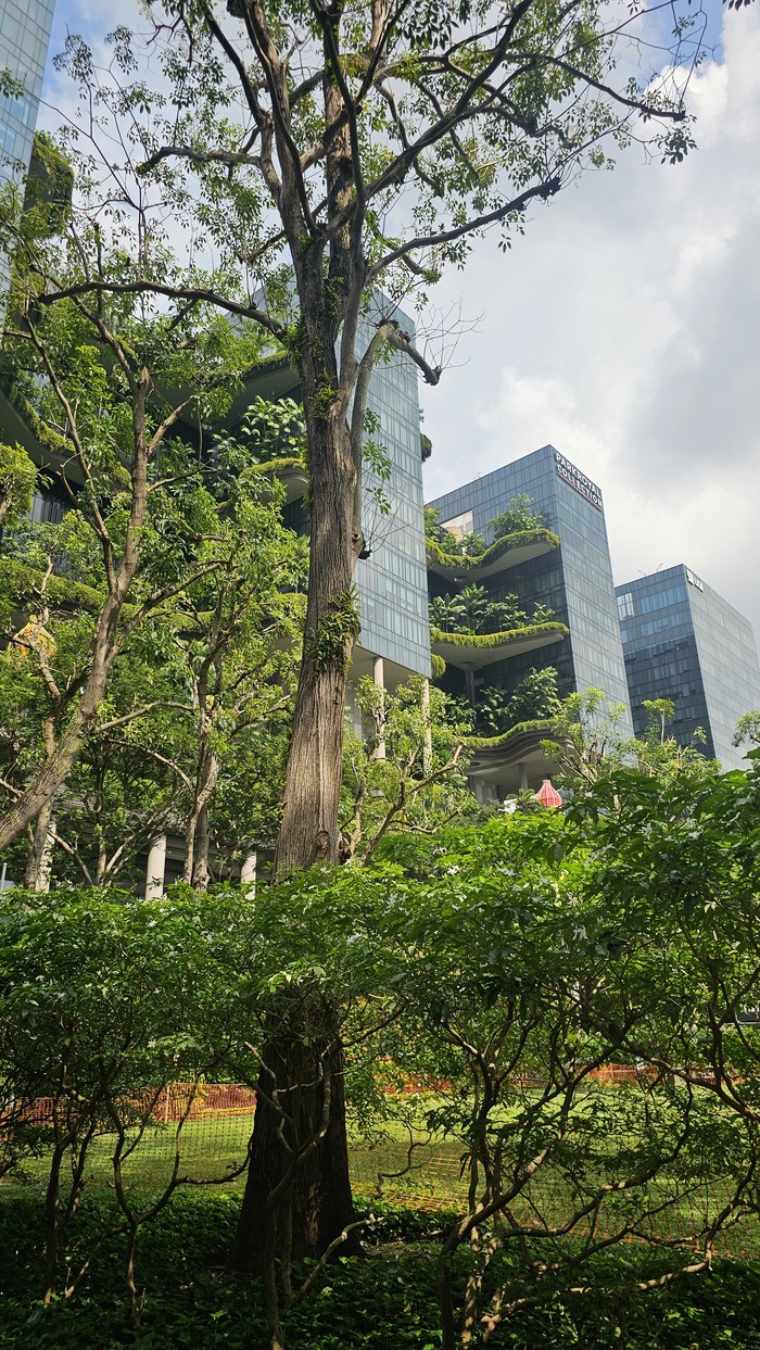 �������� ����� �������, ��������� �������� � ����� ������������� �������