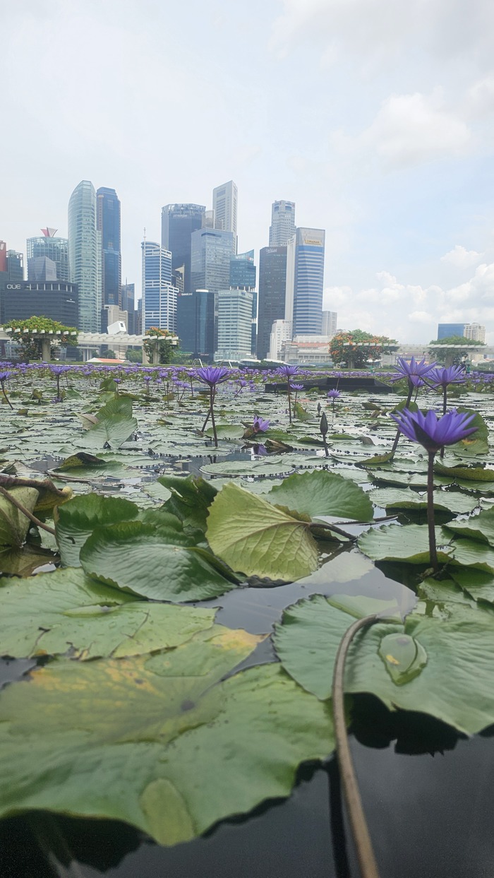 ������ � Marina Bay