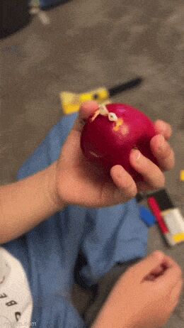   , , , 