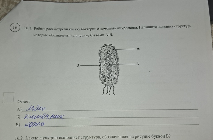 . 5 . 