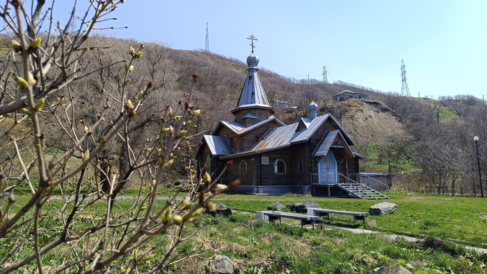 Набухшие почки украшают любой пейзаж.