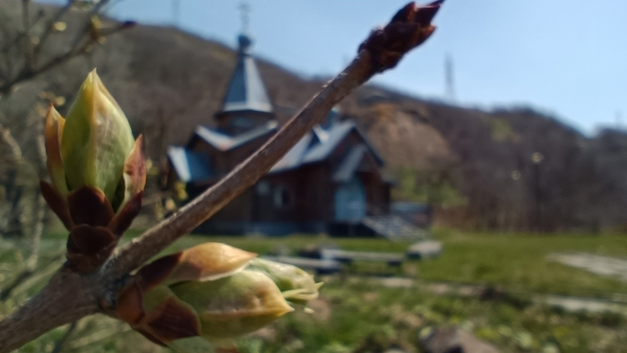 Макрокамера у меня хорошая, но стабилизатор все же надо покупать.