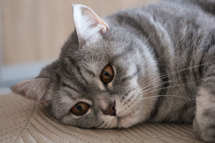 Когда познал всю тщетность бытия