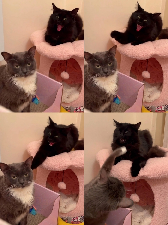  ... , ,  (),  , 