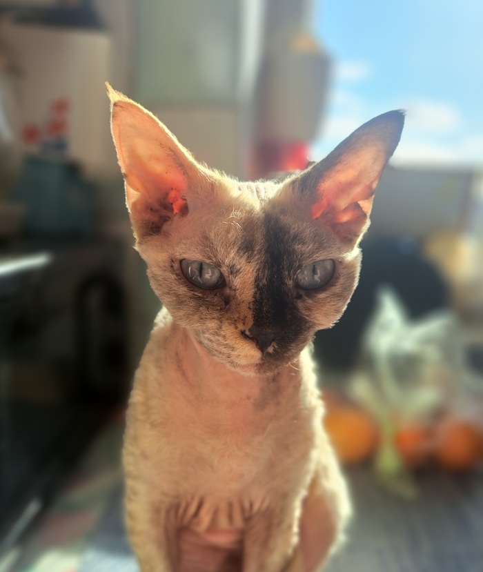   ,  ,   , , -, 