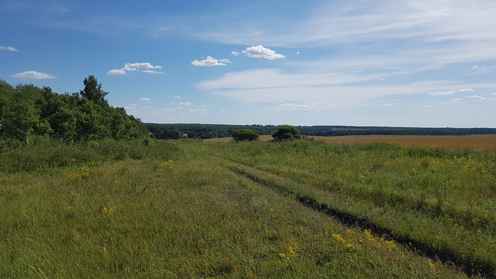 Русское поле