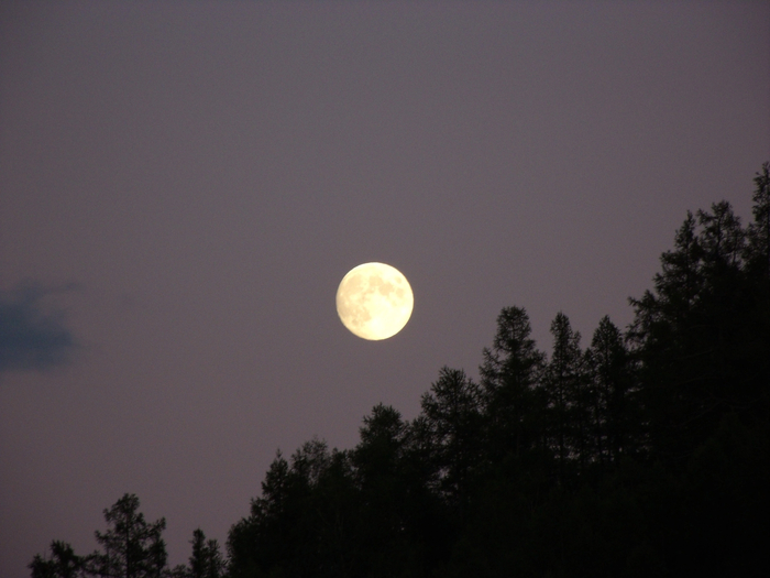 Луна твой ночной светильник