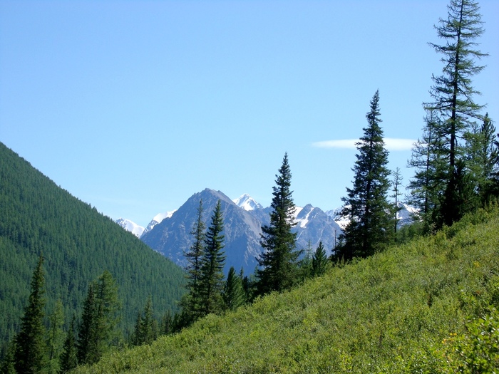 После долгих дней пути по лесу - заснеженные вершины