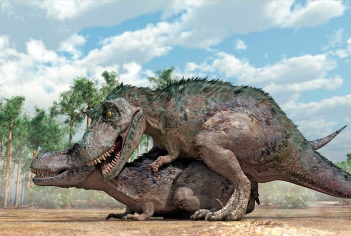 А может лапки были нужны, чтобы чесать спинку своей партнёрше?