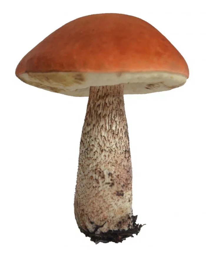    ?      , , , , , , , , , ,  , , , , 