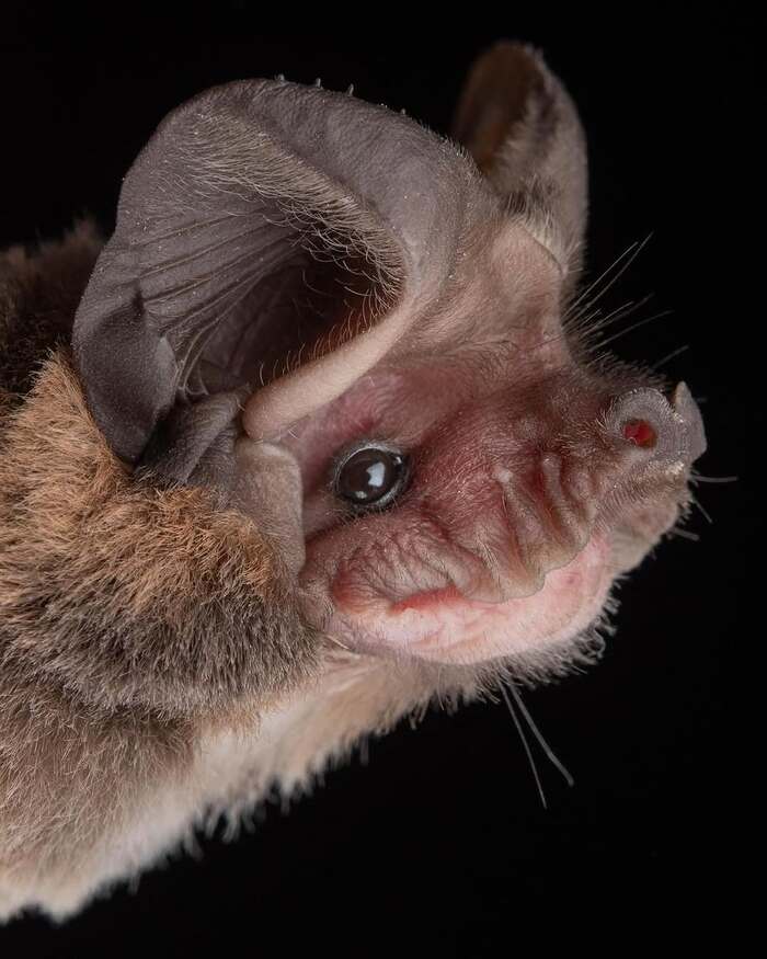    , ,  ,  ,  ,  , 